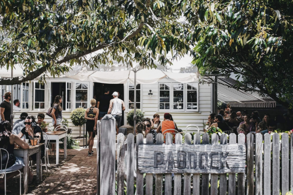 Paddock Bakery Wicked Nightlife Tours Brunch Spots